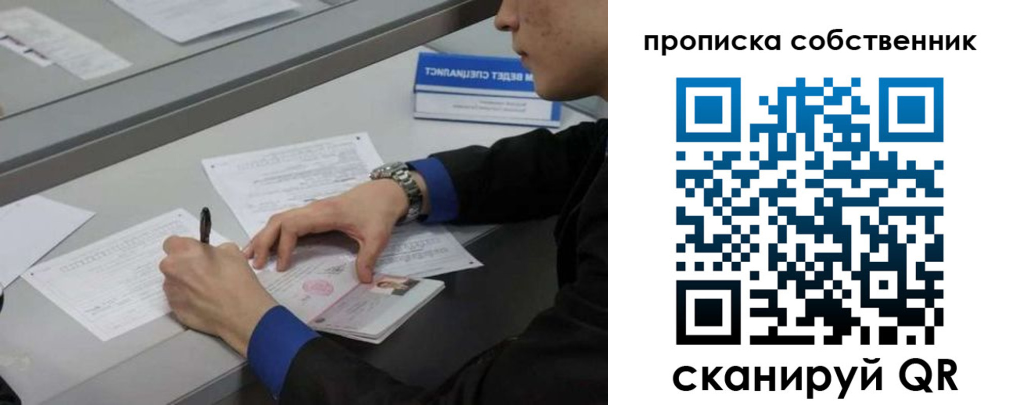 прописка для школы в Полярных Зорях